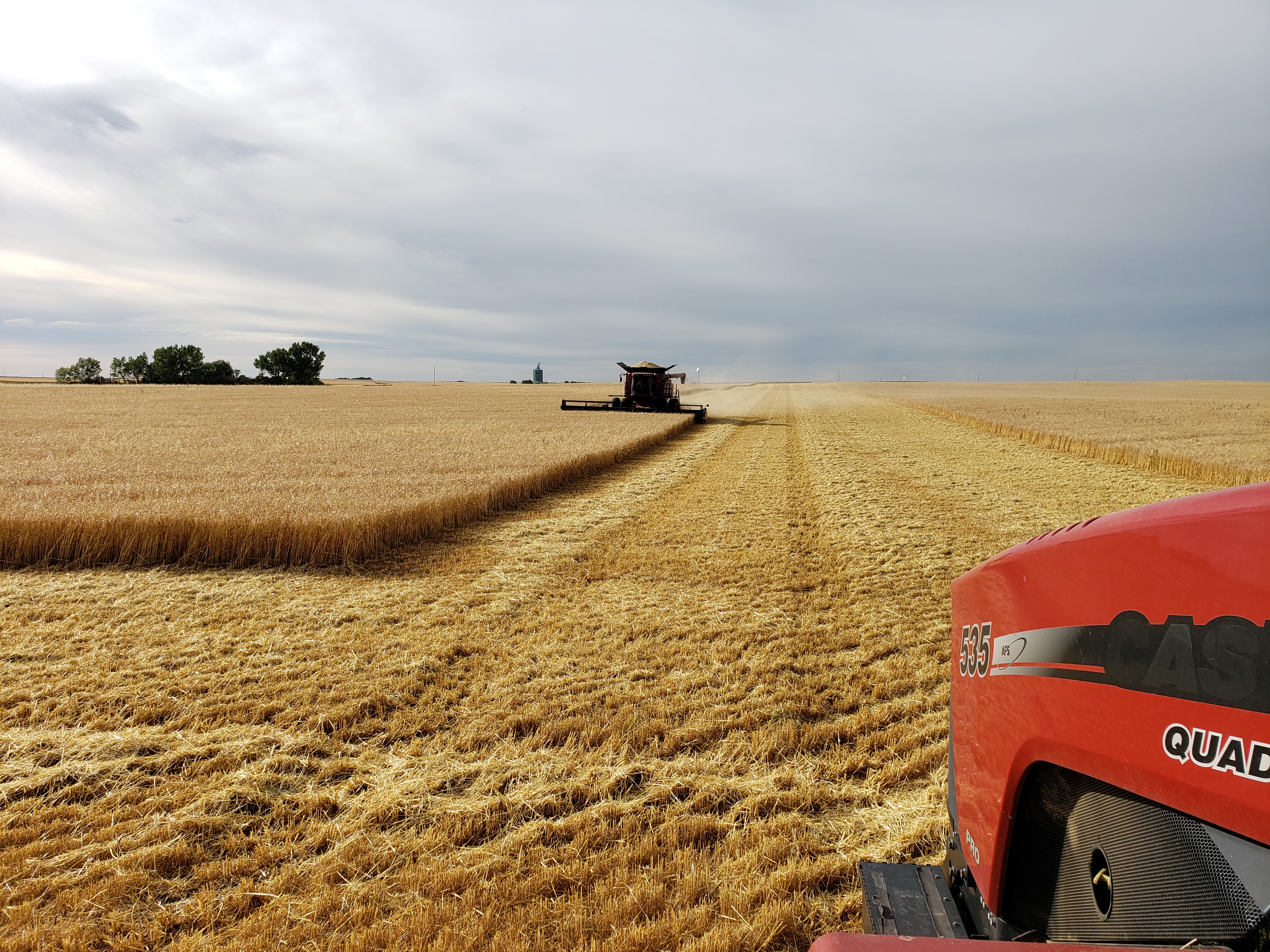Alberta Farming Landscapes